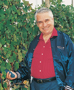Gaetano in Vineyard